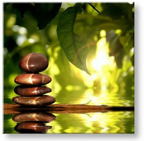 Obraz na stenu FENG SHUI | rôzne rozmery