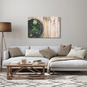 Obraz sukulentov v skle (90x60 cm)