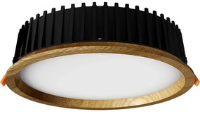 APLED - LED Podhľadové RONDO WOODLINE LED/18W/230V 3000K pr. 26 cm dub masív