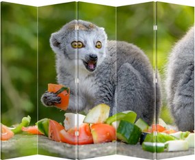 Paraván - Lemur (210x170 cm)