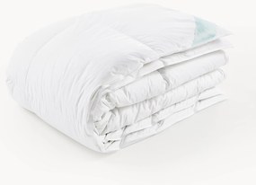 Páperový paplón Comfort, hrejivý