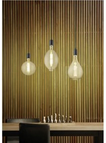 Trio - LED Stmievateľný luster na lanku GINSTER 3xE27/8W/230V