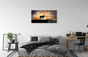 Obraz na akrylátovom skle Unicorn sunset 100x50 cm