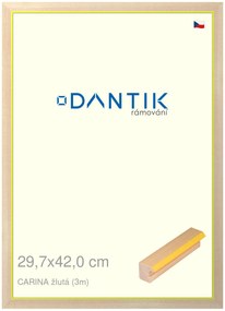 DANTIK rám na obraz 29,7x42 | CARINA žlutá (Plexi Čiré)