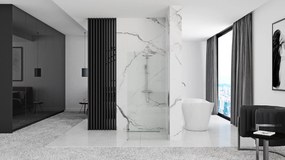 Rea AERO N 100, sprchová zástena WALK IN, 1-krídlová, 100 x 195 cm, lesklý chróm, transparentná, REA-K7551