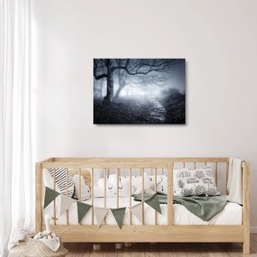 Sklenený obraz - Cesta v hmle (70x50 cm)