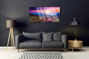 Obraz na skle Hora lúka kvety príroda 100x50 cm