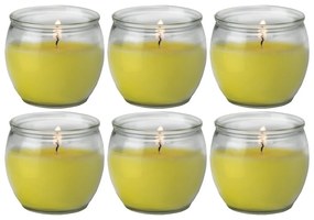 Petali Citronella vonná svíčka ve skle 6ks - hoření 25h