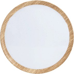 BRILAGI - LED stropné svietidlo NATURA LED/12W/230V 4000K pr. 26,3 cm