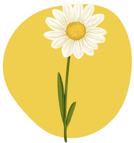 PIPPER. Textilná nálepka na stenu "Sedmokráska"