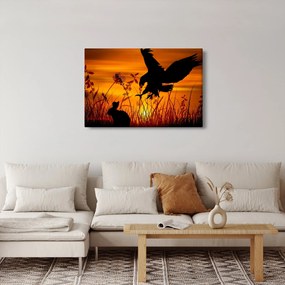 Obraz siluety dravca (90x60 cm)
