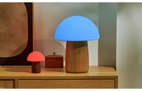 Biela/v tmavoprírodnej farbe LED stolná lampa (výška 12,5 cm) Alice Mushroom – Gingko