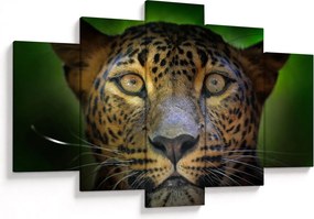 Obraz - Portrét leoparda, Sri Lanka (150x105 cm)