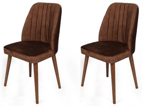 Súprava jedálenských stoličiek Alfa Brown aWalnut, 2 ks