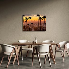 Obraz - Panorama Los Angeles (70x50 cm)