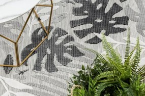 Koberec štrukturálny BOTANIC 65245 Listy Monstera - sivý