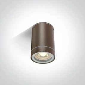 Vonkajšie stropné svietidlo ONE LIGHT ext. stropné svietidlo 67130C/BR