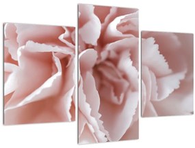 Obraz - Detail kvetu (90x60 cm)