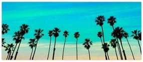 Obraz - Kalifornia (120x50 cm)