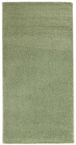 Koberce Breno Kusový koberec DOLCE VITA 01/AAA, zelená,120 x 170 cm
