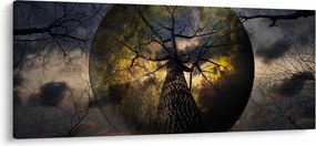 Obraz - Záhadné nebo (120x50 cm)