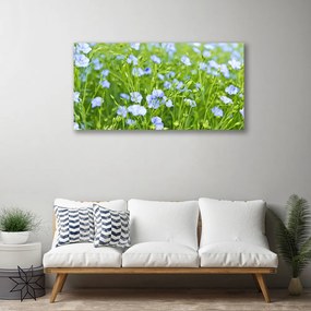 Obraz na plátne Kvety tráva rastlina príroda 120x60 cm
