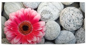 Sablio Uterák Gerbera na kameňoch - 70x140 cm