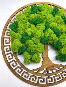 Strom na stenu z machu Excalibur 30 cm