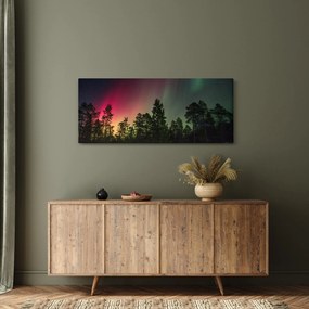 Obraz polárna žiara (120x50 cm)