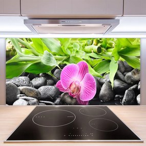 Sklenený obklad Do kuchyne Kvety orchidea kamene zen 125x50 cm