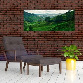 Obraz - Čajové plantáže v Malajzii (120x50 cm)