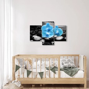 Obraz - Modrá orchidea (90x60 cm)
