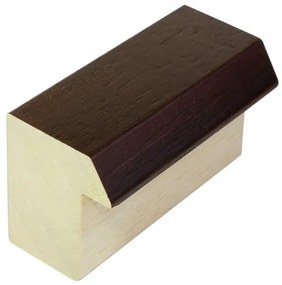 DANTIK rám na obraz 42x59,4 | WOODLINE hnědá (Plexi Čiré)