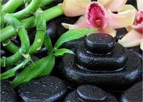 Obraz - Kamene a orchidey (70x50 cm)