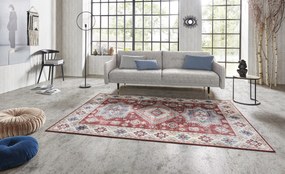 Nouristan - Hanse Home koberce Kusový koberec Asmar 104008 Ruby / Red - 80x200 cm