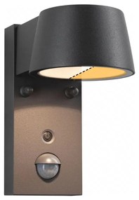 Paulmann 94714 - LED/6W IP44 Vonkajšie nástenné svietidlo so senzorom CAPERA 230V
