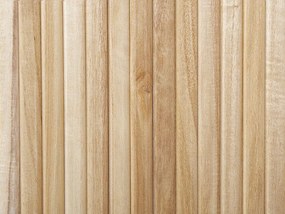 Drevená 2-dverová komoda svetlé drevo/čierna LINDON Beliani