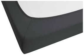 Biberna Napínacia džersejová plachta (titánová, 180 – 200 x 200 cm)  (100227068)