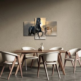 Obraz - Kone (90x60 cm)