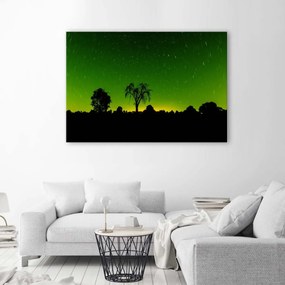 Obraz na plátně Aurora Borealis Green Forest - 120x80 cm