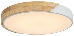 Rabalux 3527 - LED Stropné svietidlo MAPLE LED/24W/230V biela