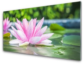 Skleneny obraz Vodné lilie rybník príroda 140x70 cm