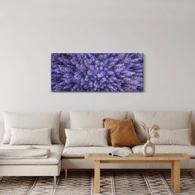 Obraz zasnežených stromov (120x50 cm)