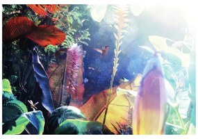 Samolepiaca tapeta oáza pokoja