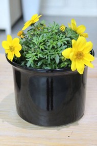 Čierny keramický kvetináč okrúhly 9cm