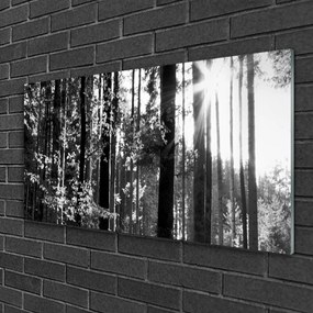 Obraz na skle Les príroda 120x60 cm