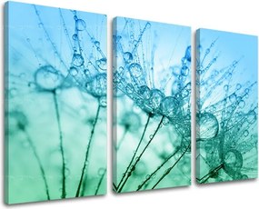 Obraz na stenu 3 dielny KVETY KV061E30 - 90x60 cm