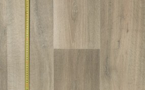 Beaulieu International Group, PVC podlaha - lino Livitex 2602, na mieru, šíře 3m,4m, béžová, filc, chodba / predsieň