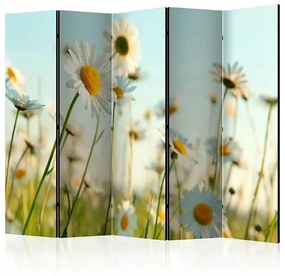 Paraván - Daisies - spring meadow II [Room Dividers] Veľkosť: 225x172, Verzia: Obojstranný