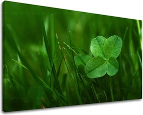 Obraz na stenu RASTLINY RA008E11